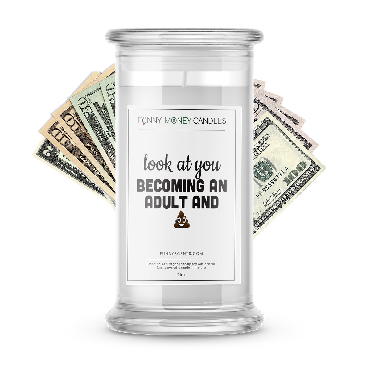 Look at you  Becoming a Adult and Shit Money Funny Candles